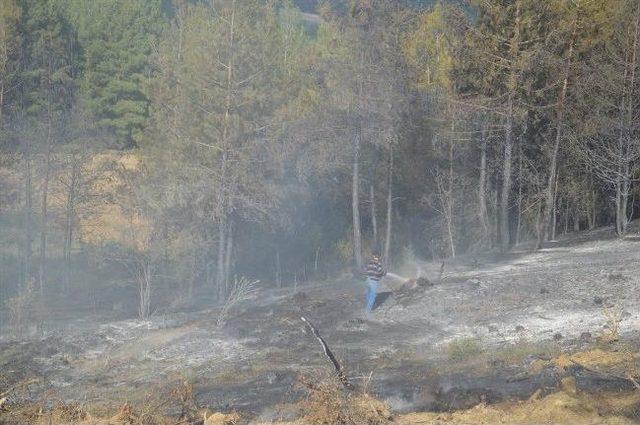 Bilecik te Orman Yangını 1