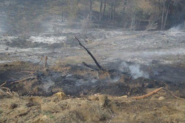 Bilecik te Orman Yangını 2