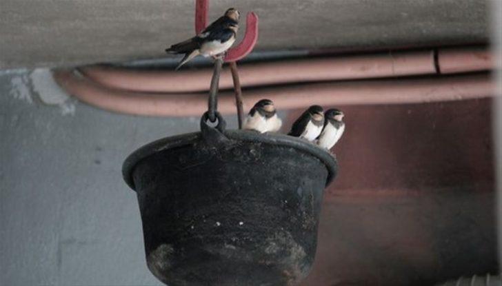 Evinizde streç filmle yaratabileceğiniz mucizeler G2