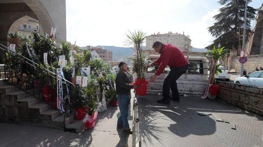 Bağışlanan &Ccedil;i&ccedil;ekler İhh&rsquo;ya 2500 Tl Gelir Getirdi