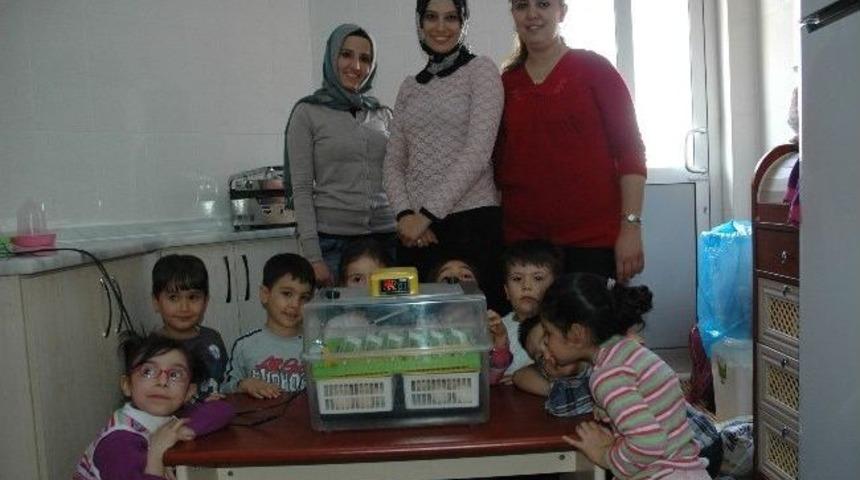 Ana Sınıfı &Ouml;ğrencilerinin Meraklı Bekleyişi