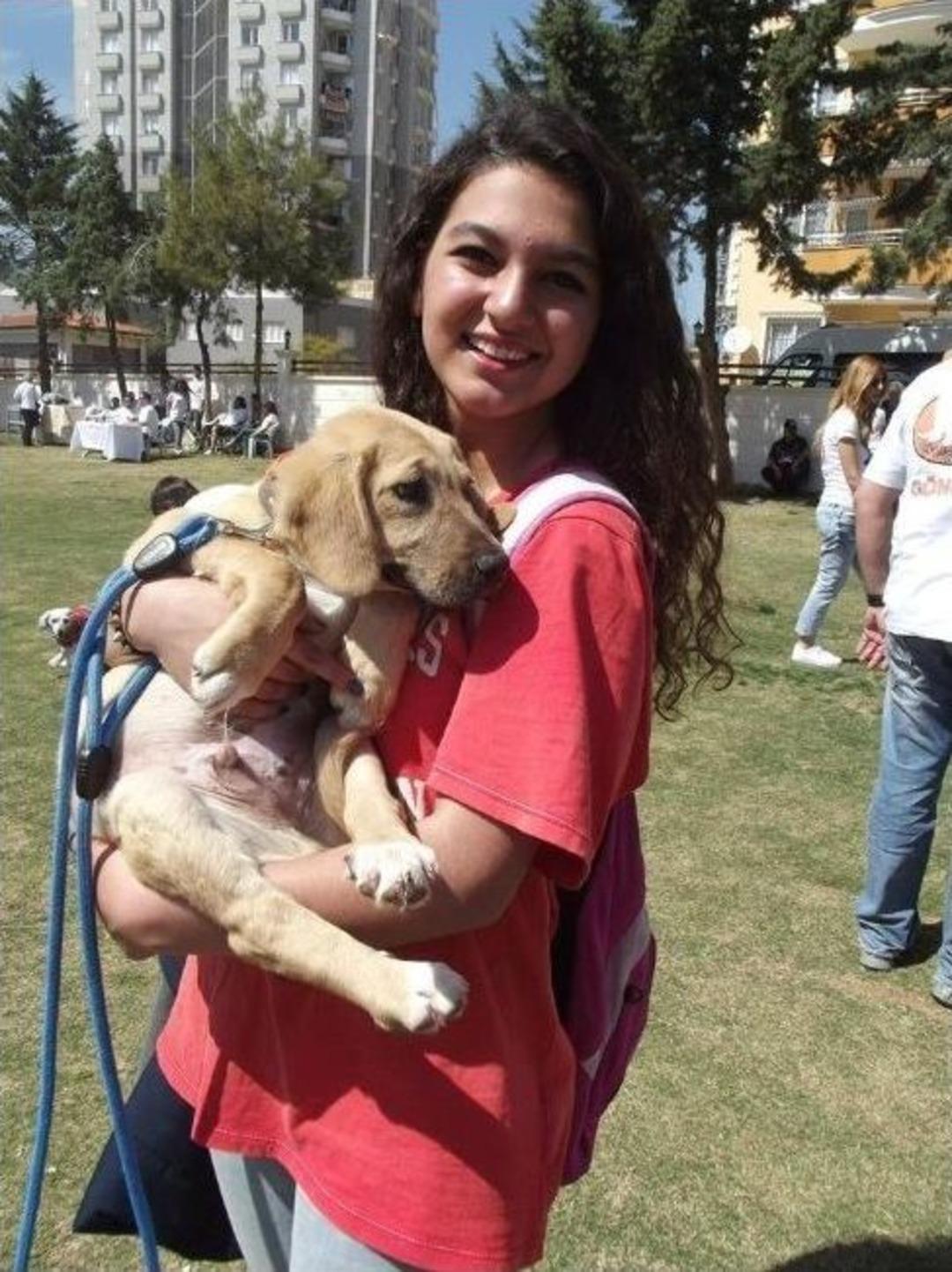 Sokak Dostları Derneği 'can Dostlarını' Sahiplendirdi