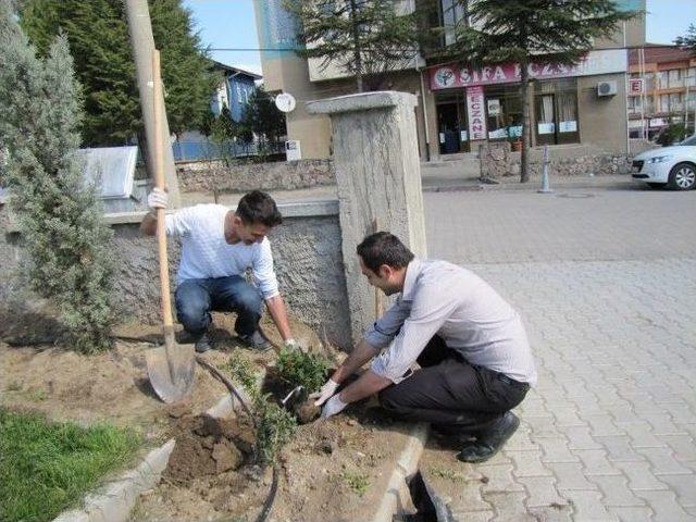 Hisarcık Devlet Hastanesi Bahçesinde Ağaçlandırma Çalışması