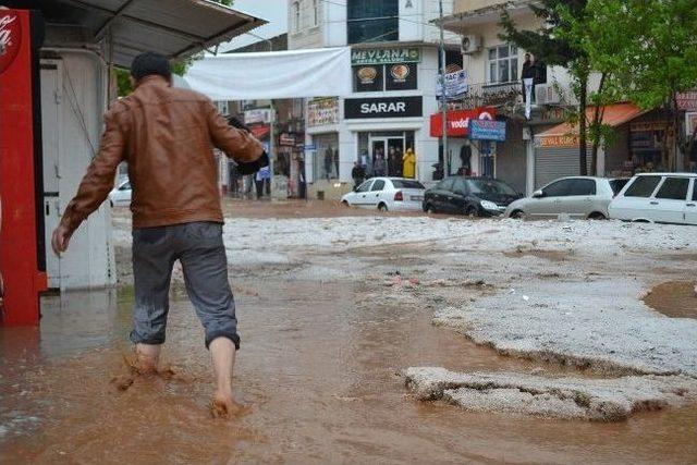 Silvan Belediye Eşbaşkanı Teke'den, Sel Açıklaması