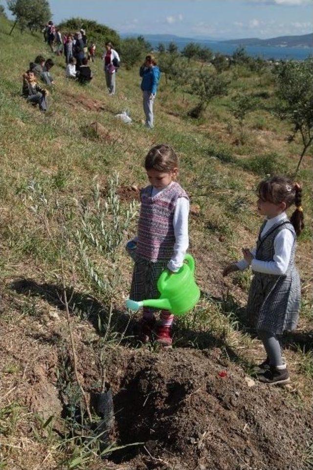 Urla’da Minikler İyte’ye Ağaç Dikti