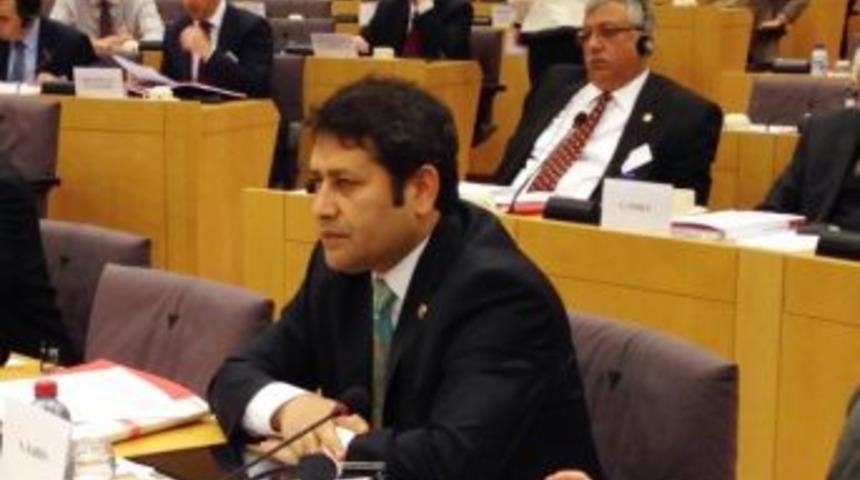 Milletvekili Şahin&rsquo;in Ab Temsilcilerine Mısır &Ccedil;ıkışı