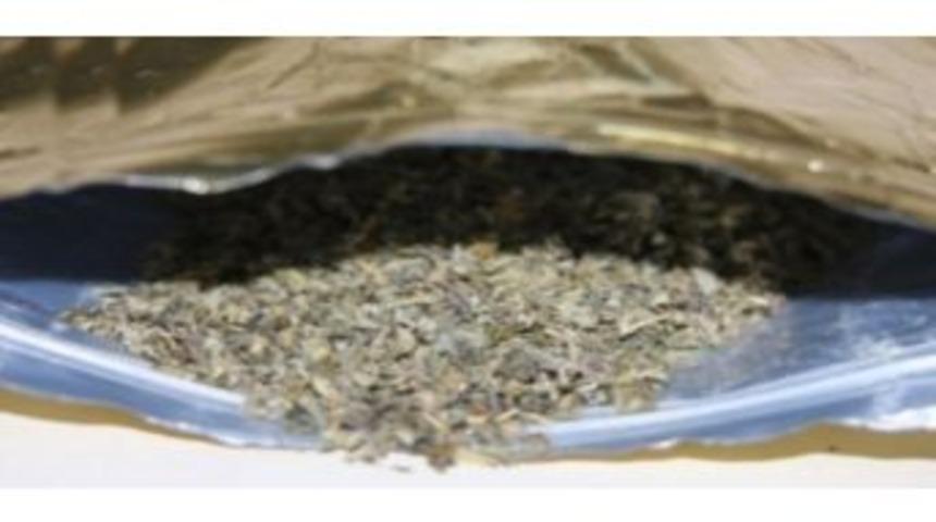 Marmaris&rsquo;te 600 Gram Bonzai Maddesi Ele Ge&ccedil;irildi