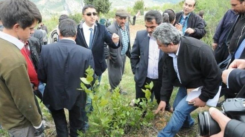 Orman B&ouml;lge M&uuml;d&uuml;rl&uuml;ğ&uuml;, &Ccedil;amlıyayla&rsquo;da Yeşil Altın Semineri D&uuml;zenledi