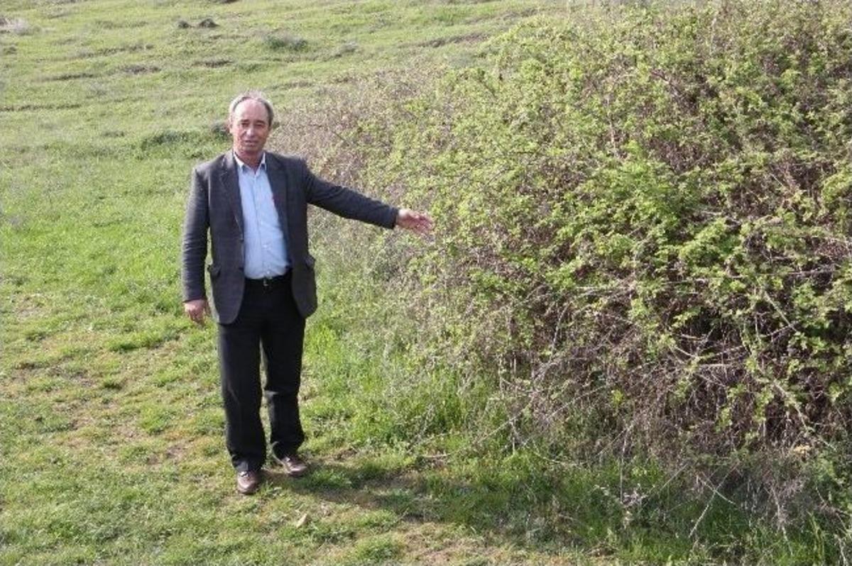 Sınırda 4 Ka&ccedil;ak G&ouml;&ccedil;menin Cesedi Bulundu