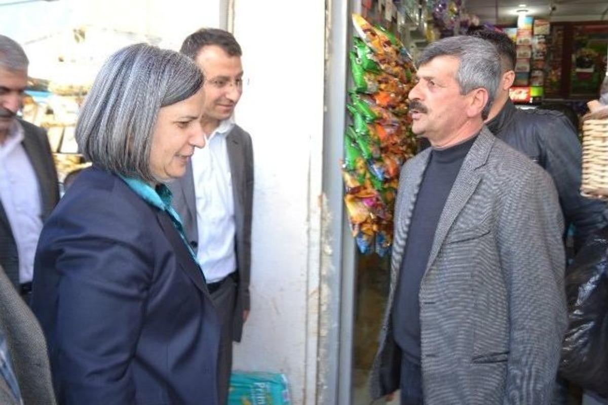 G&uuml;lten Kışanak Silvan'da