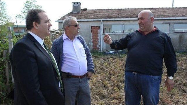 &Ccedil;arşambalı &Ccedil;ift&ccedil;iler İsabella &Uuml;z&uuml;m Yetiştirmeye Başladı 1