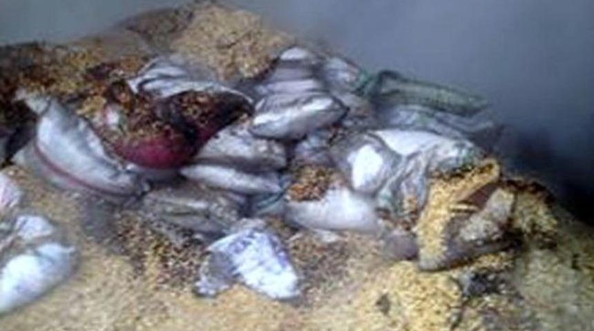 Gediz&rsquo;de Fabrika Yangını