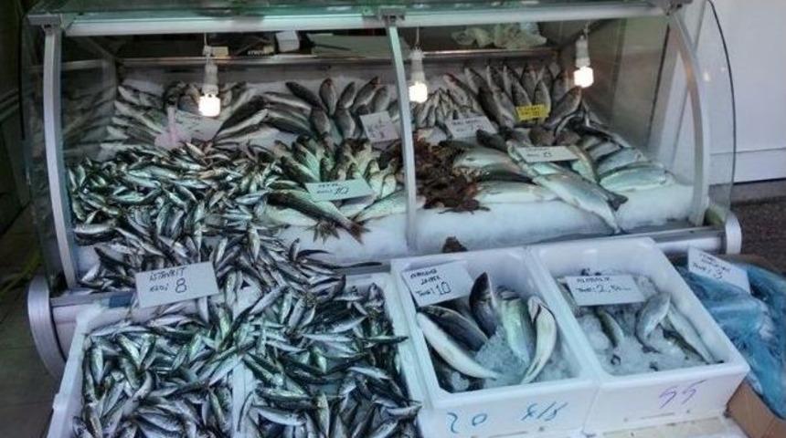 Balık Sezonu Sona Erdi