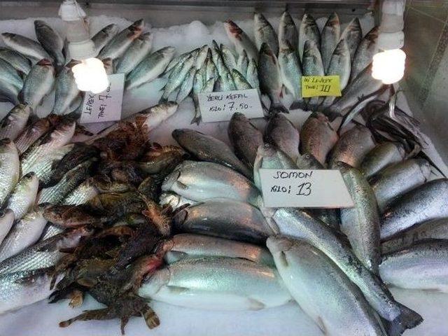 Balık Sezonu Sona Erdi 1