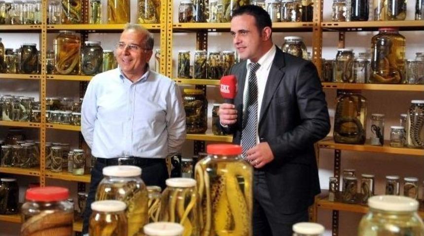 Ad&uuml; Zooloji M&uuml;zesi Ekranlardan Tanıtıldı