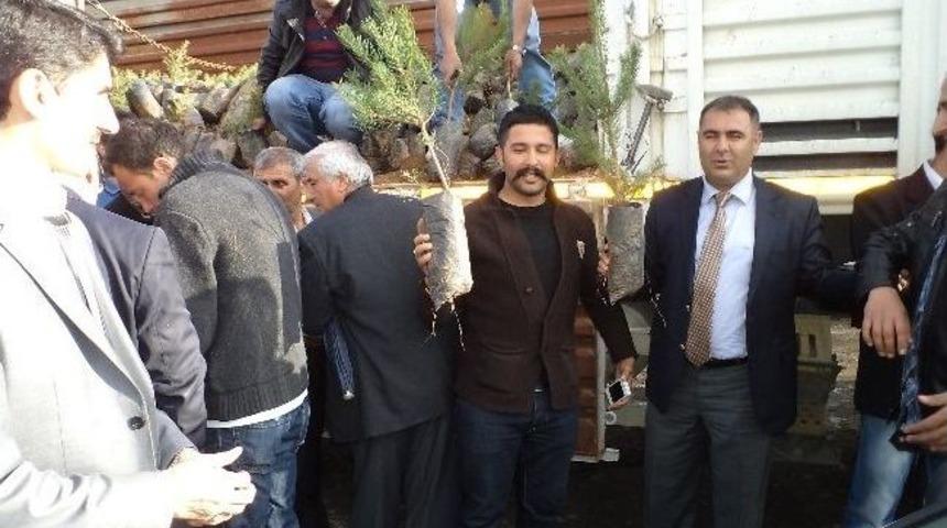 Varto Kaymakamlığı Fidan Dağıtımı Yaptı