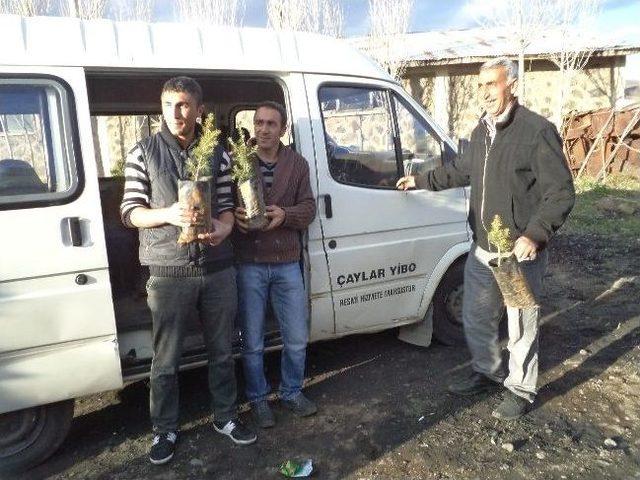 Varto Kaymakamlığı Fidan Dağıtımı Yaptı 1