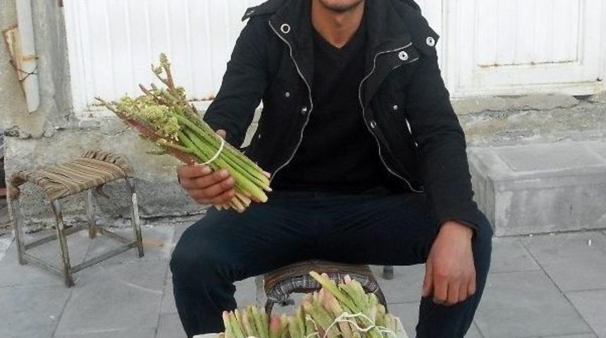 Yayla Muzu U&ccedil;kun Piyasaya &Ccedil;ıktı