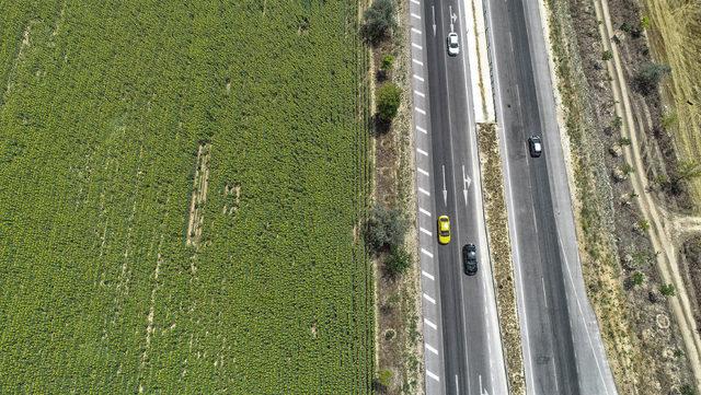 Konya Ovası, ayçiçek üretiminde Trakya ile yarışıyor