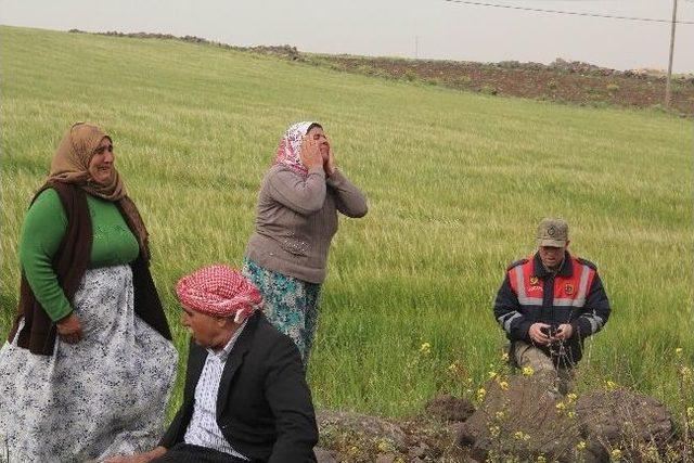 Şanlıurfa'da Trafik Kazası: 1 Ölü, 6 Yaralı