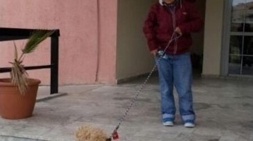 Yavru K&ouml;pek Fatih'i Yaşama Bağladı