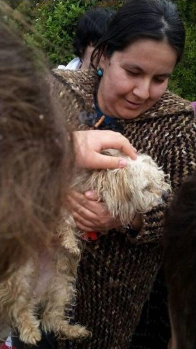 Yavru Köpek Fatih'i Yaşama Bağladı