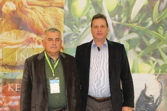 Aydın Ticaret Borsası Zeytinyağını Tanıttı 2