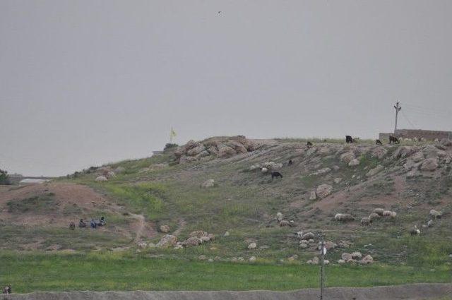 Kamışlı'da Ypg Bayrağı Asıldı