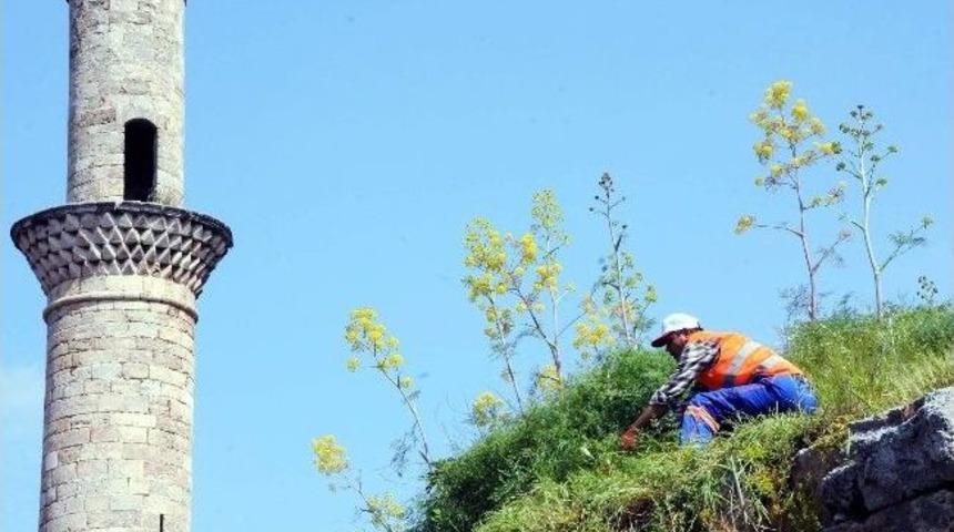 B&uuml;y&uuml;kşehir Belediyesinden Kalei&ccedil;i&rsquo;nde Temizlik