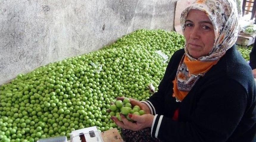 (&ouml;zel Haber) "yeşil Altın" 300 Liradan 5 Liraya D&uuml;şt&uuml;
