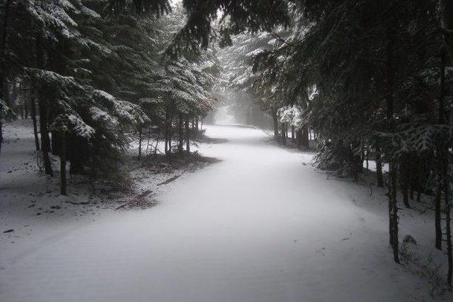 Yazın Başladıkları Y&uuml;r&uuml;y&uuml;ş&uuml; Kışın Bitirdiler 1