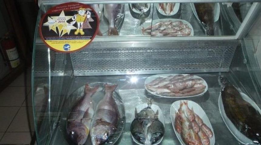 Denizden Gelen &Ouml;d&uuml;lller Dat&ccedil;a Ve Bozburun&rsquo;da Sahiplerini Buldu