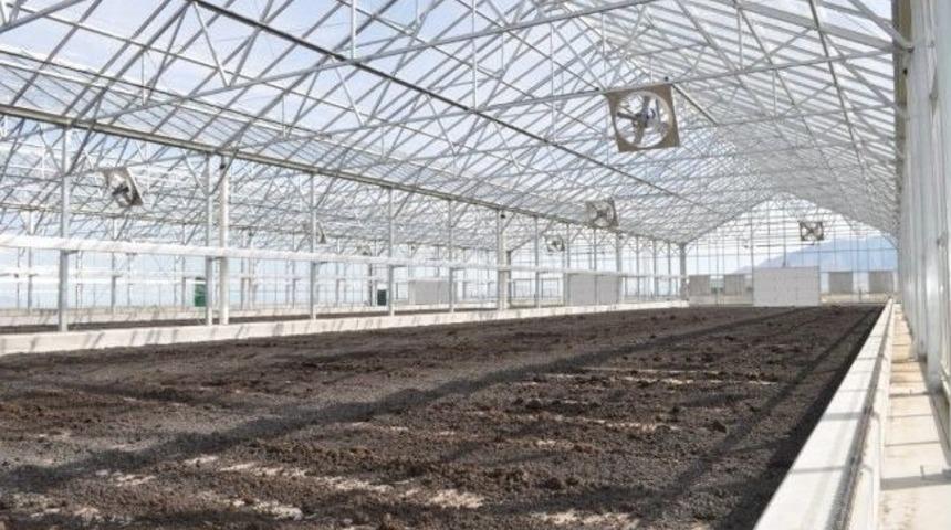 Bin 500&rsquo;l&uuml;k Ağaca Bedel İmza