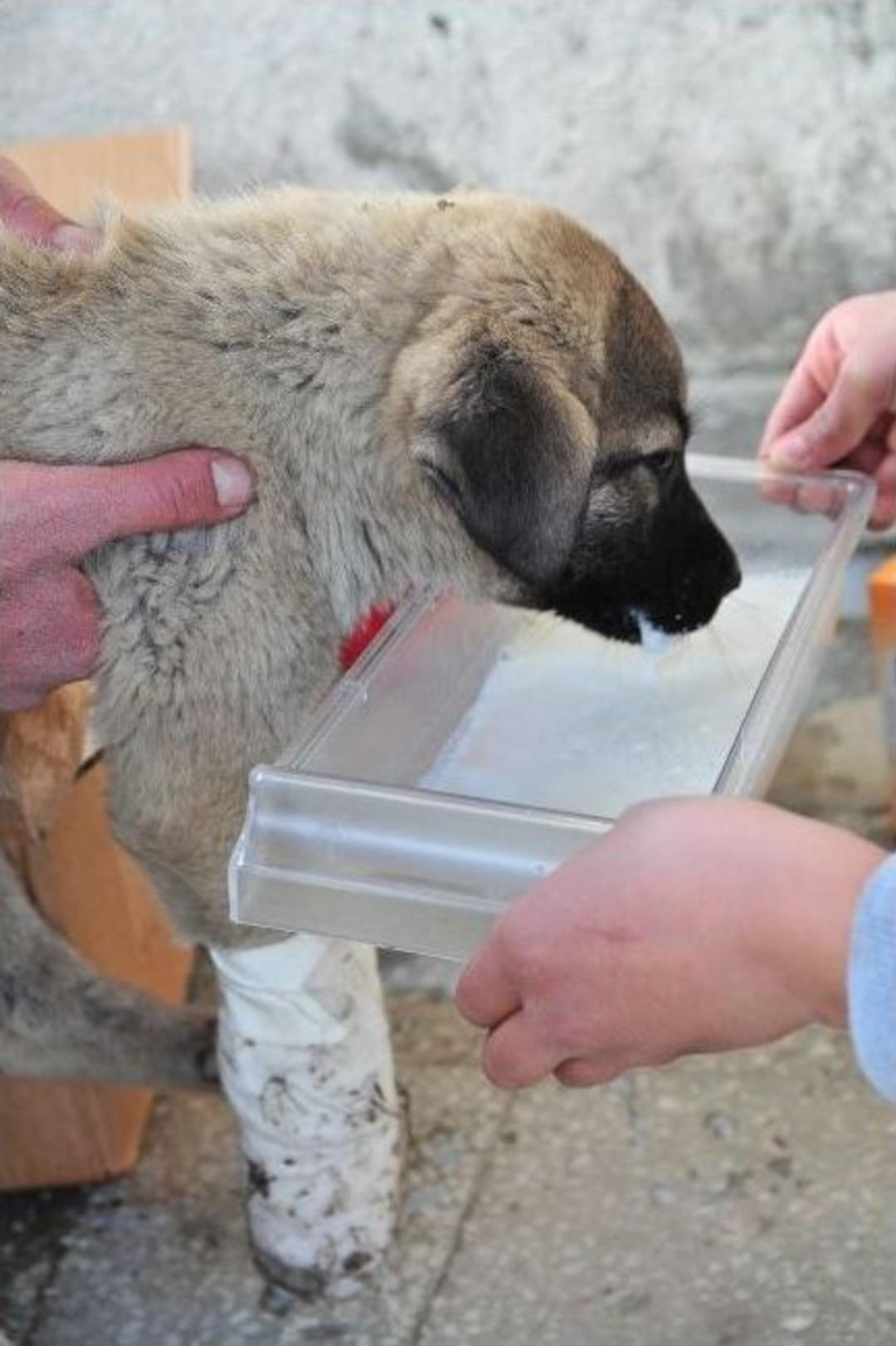 Eğitimciden &Ouml;rnek Davranış