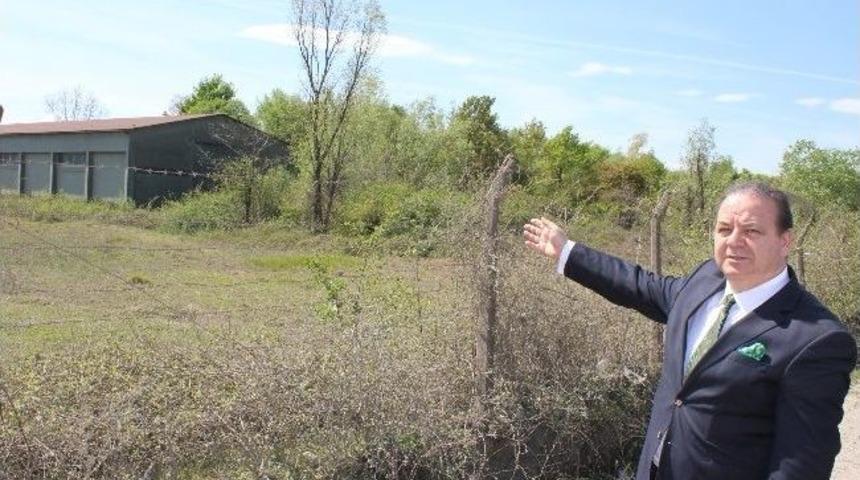 &Ccedil;arşamba'nın Kaderini Değiştirecek Proje