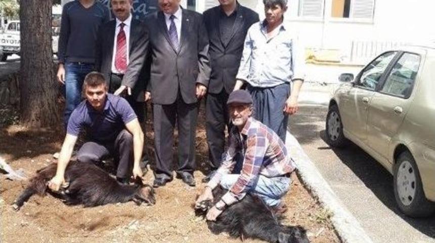 Başkan Aslan&rsquo;a Vatandaştan Adak