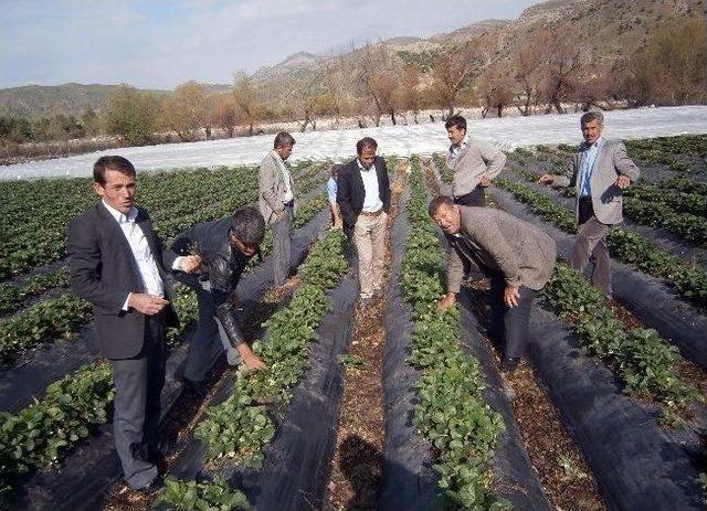Don, &Ccedil;ileği Vurdu 1