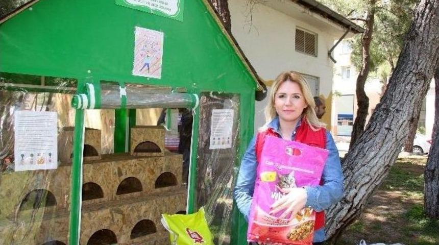 Kediler Trafoya Girmesin Diye Barınak Yaptılar