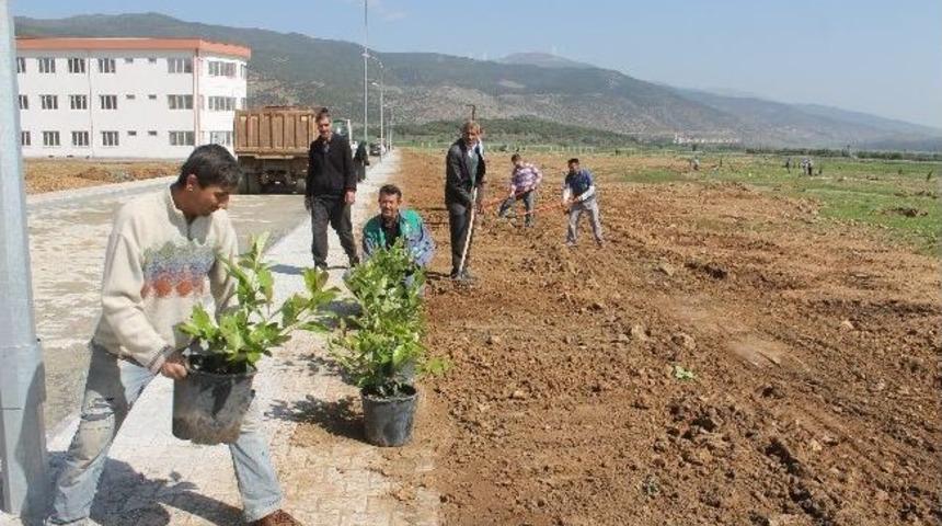 Mahkumlar Fidan Dikti