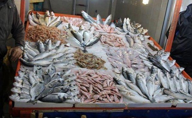 Av Yasağı Balık Fiyatlarını Etkiledi