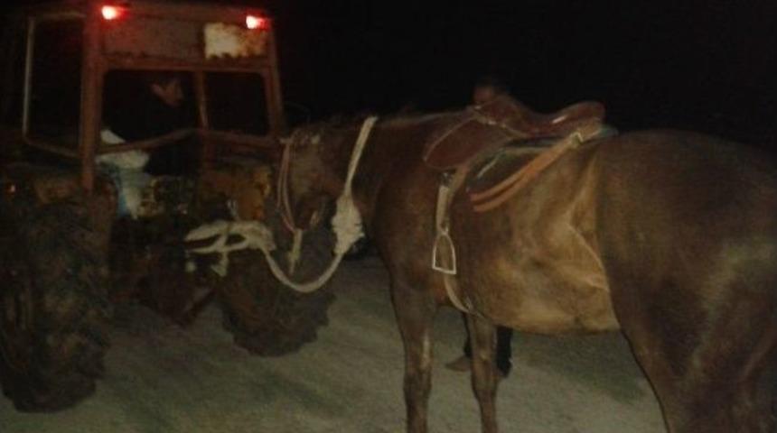 Trakt&ouml;re Bağlı Y&uuml;r&uuml;t&uuml;len At S&uuml;r&uuml;c&uuml;leri &Ccedil;ileden &Ccedil;ıkardı