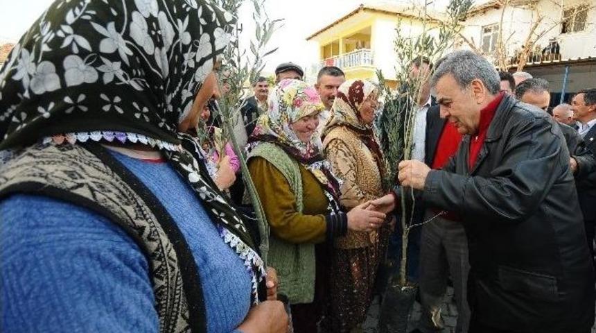 İzmir B&uuml;y&uuml;kşehir'den &Uuml;reticiye 1 Milyon Fidan