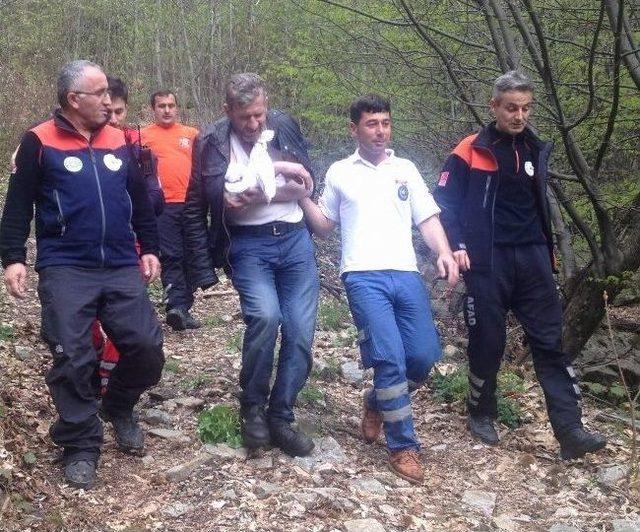 (özel Haber) Uludağ'ın Eteklerinde Can Pazarı