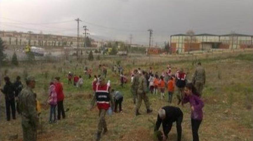 1&rsquo;nci Organize Alanına Fidan Dikildi