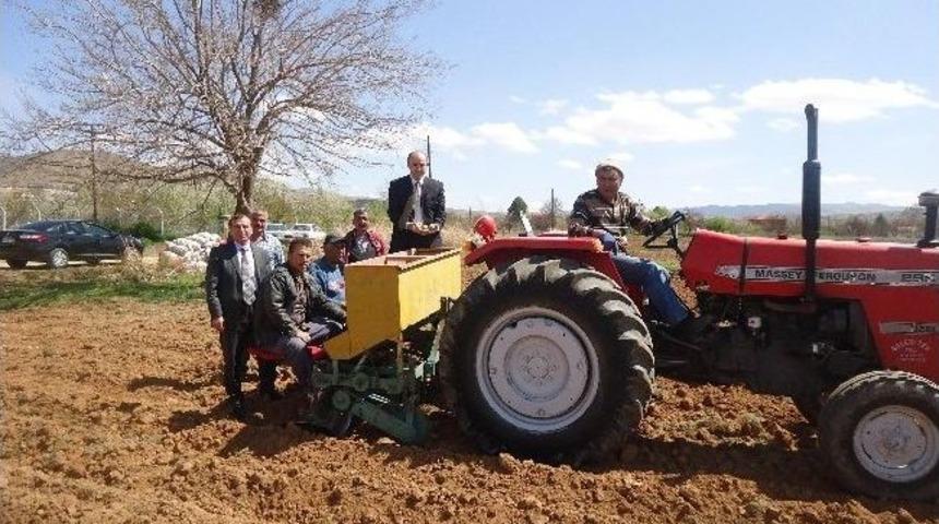 Kırıkkale&rsquo;de Patates &Uuml;retim Projesi