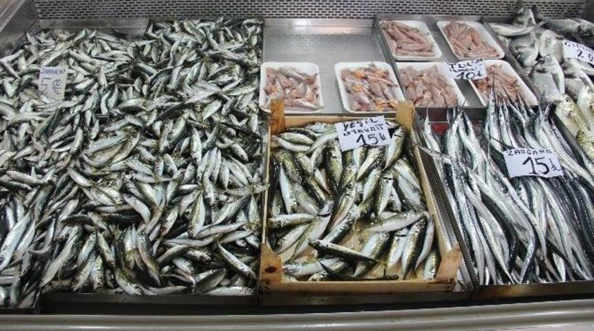 Av Yasağı Başlıyor