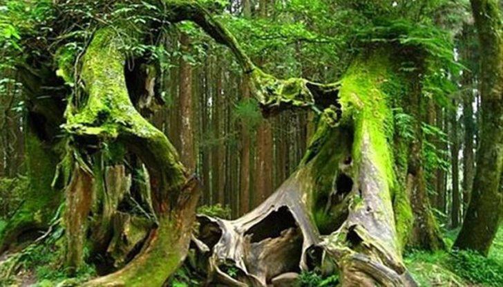 Dünyadaki 15 lanetli yer  G3