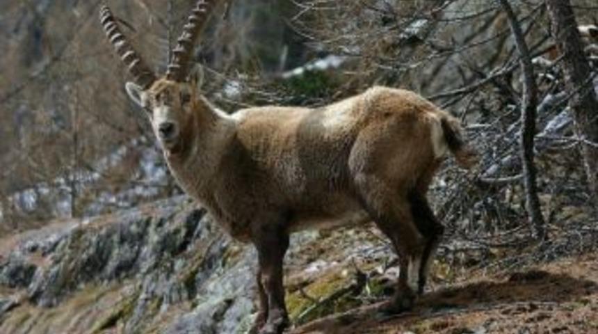 Av Turizmi K&ouml;yl&uuml; Vatandaşlara Gelir Sağlıyor