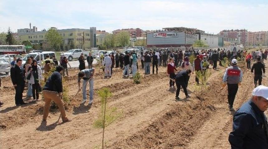 Karatay&rsquo;da Fidanlar Toprakla Buluştu
