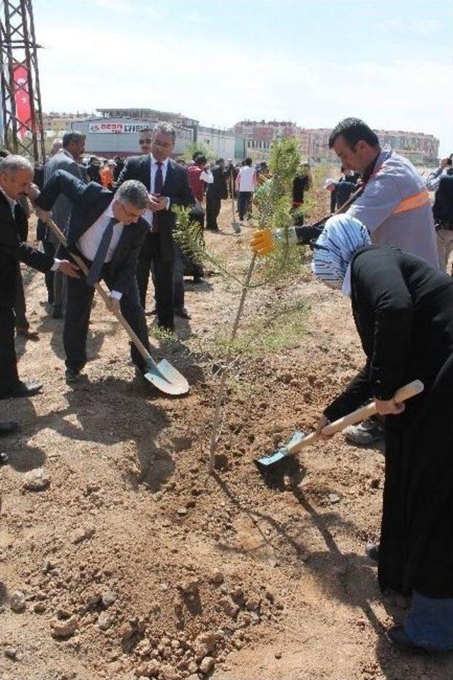 Karatay&rsquo;da Fidanlar Toprakla Buluştu 1